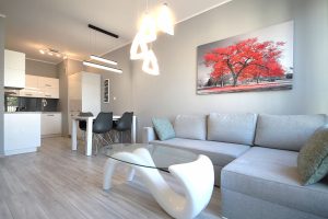 tacy-sami-galeria-1